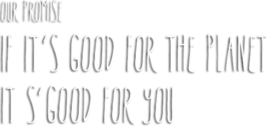 Our Promise: If it’s good for the planet