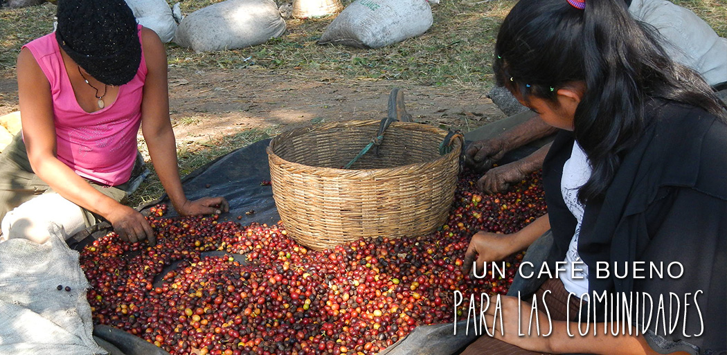 Café El Ciprés: Un café bueno para la comunidad